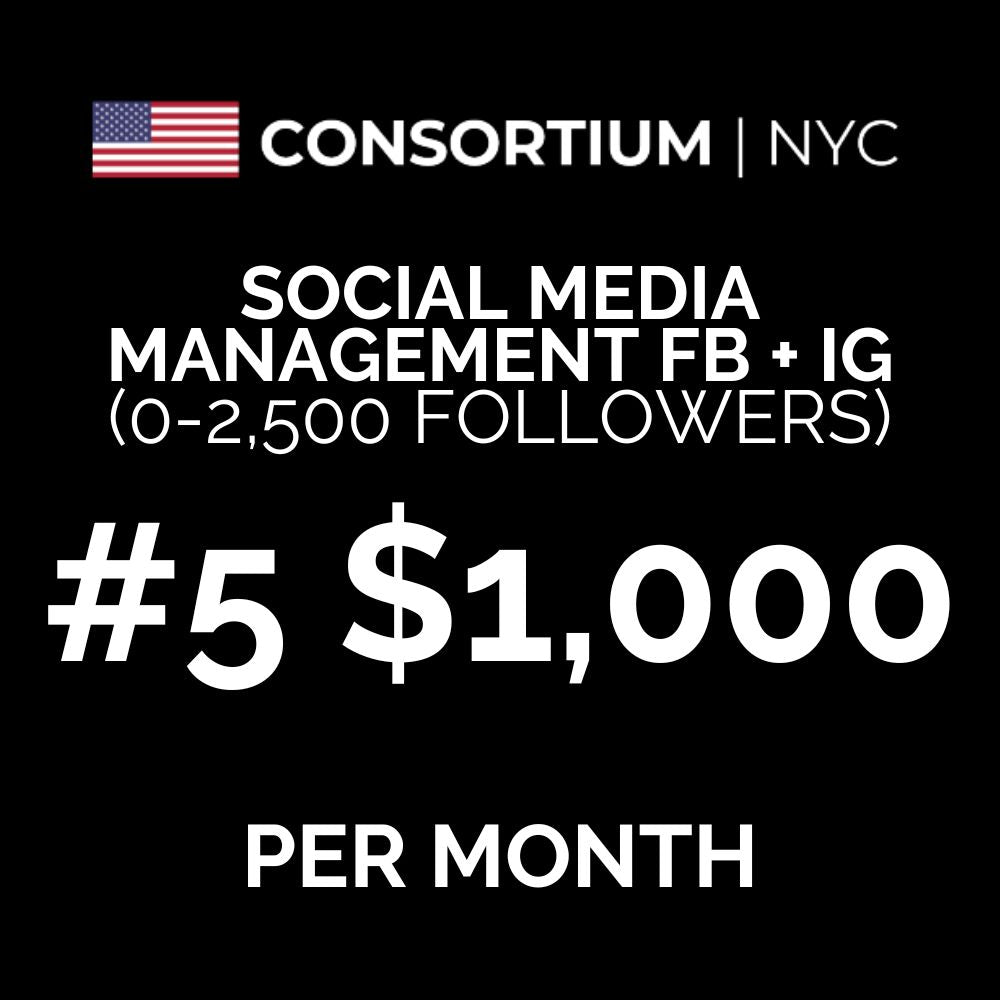 5. Social Media Management FB + IG ($0-2,500 Existing Followers)