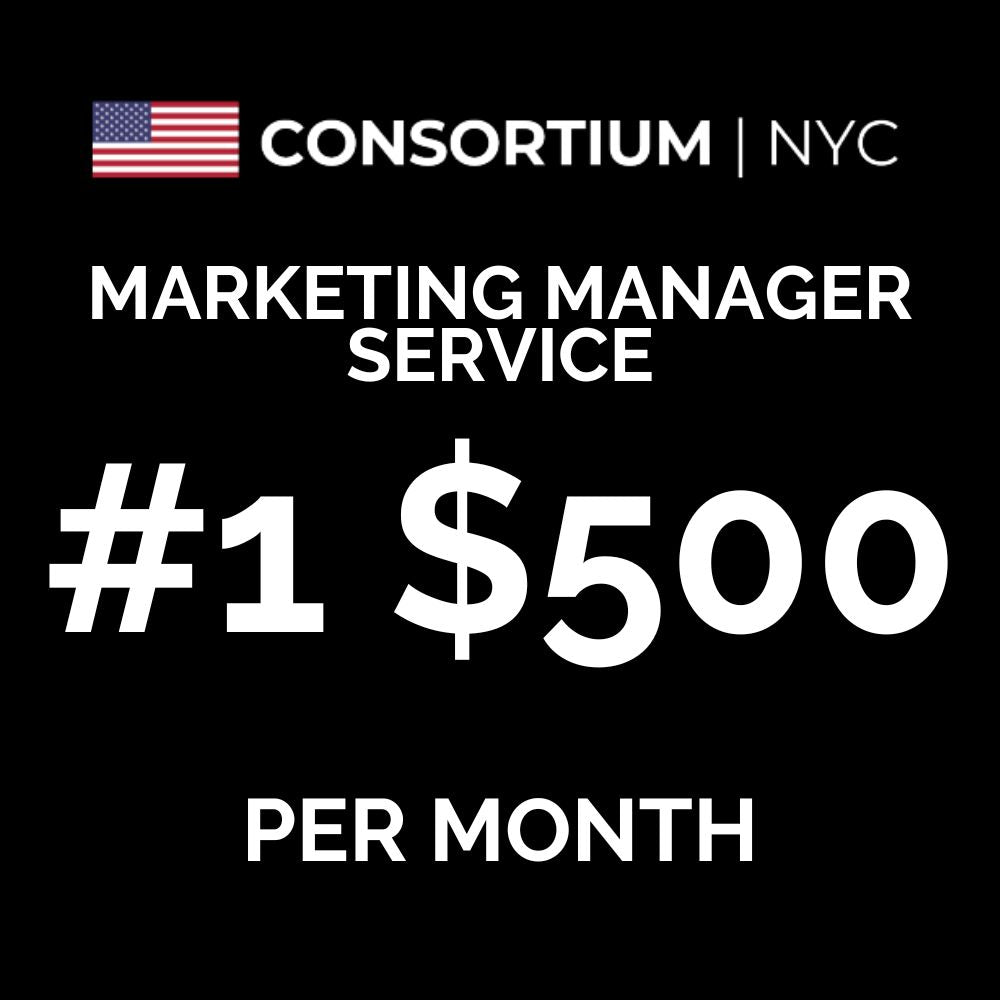 1. Marketing Manager Service | The Startup ($0-$50k In Annual Revenue)