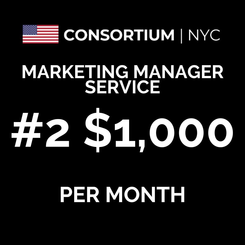 2. Marketing Manager Service | The Budget ($50-$200k In Annual Revenue)