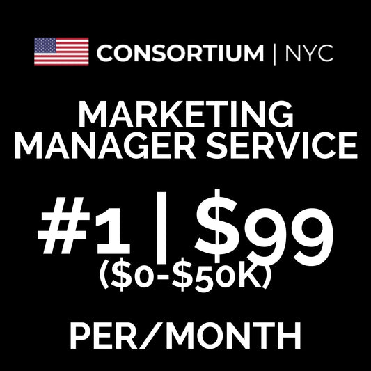 1. Marketing Manager Service | The Startup ($0-$50k In Annual Revenue)