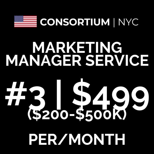 3. Marketing Manager Service | The Small Business ($200-$500k In Annual Revenue)