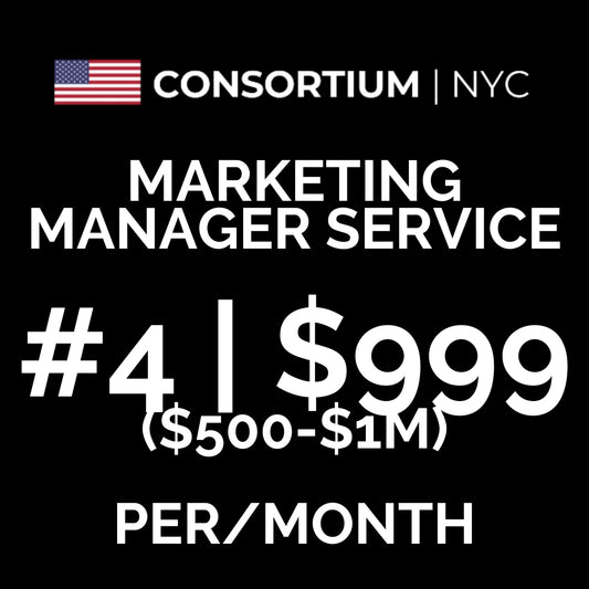 4. Marketing Manager Service | The Growing Business ($500-$1M In Annual Revenue)