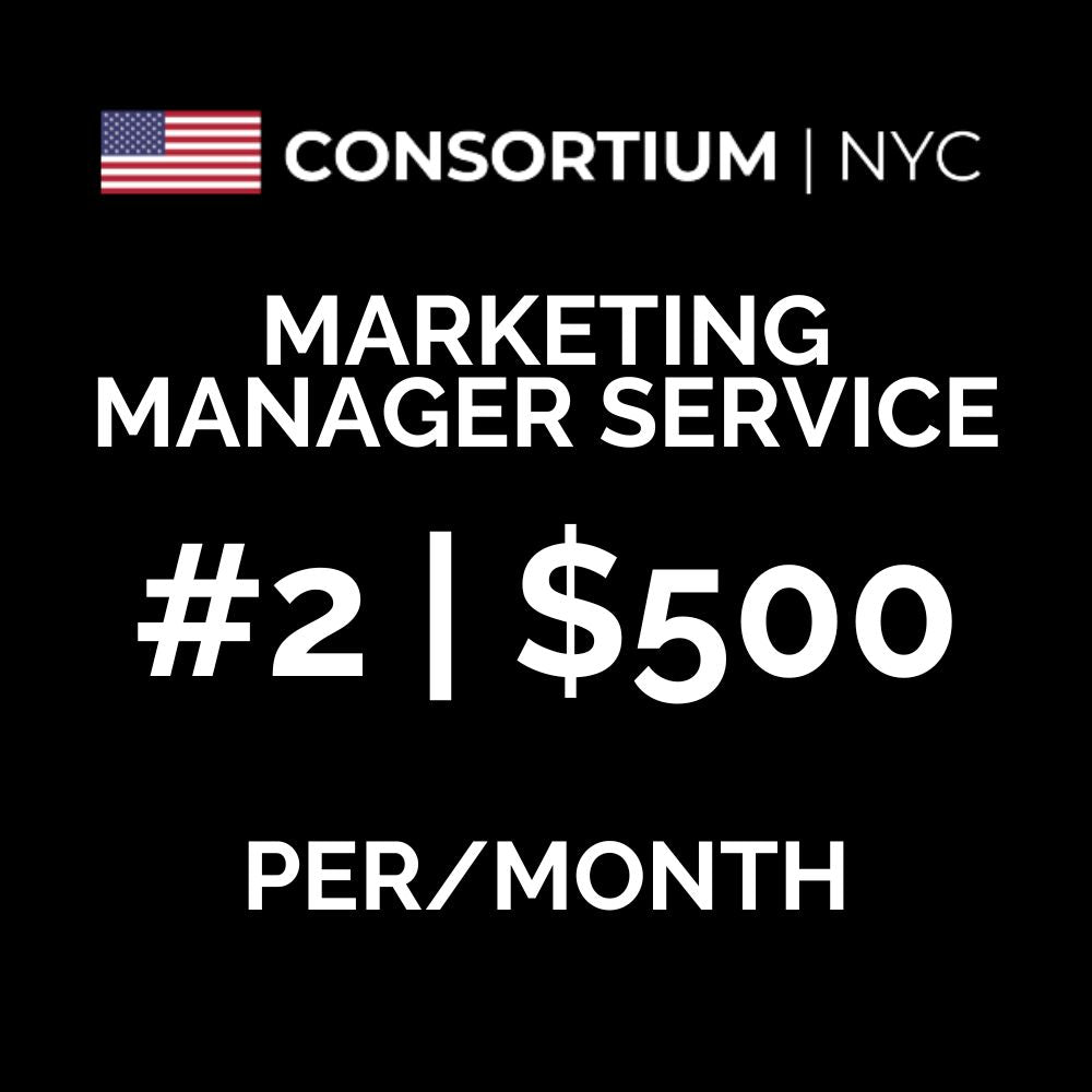 2. Marketing Manager Service | The Budget ($50-$200k In Annual Revenue)
