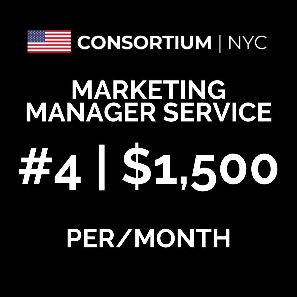 4. Marketing Manager Service | The Growing Business ($500-$1M In Annual Revenue)