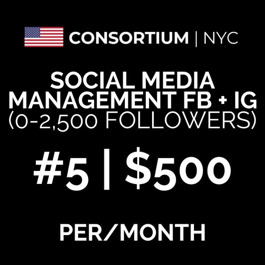 5. Social Media Management FB + IG ($0-2,500 Existing Followers)