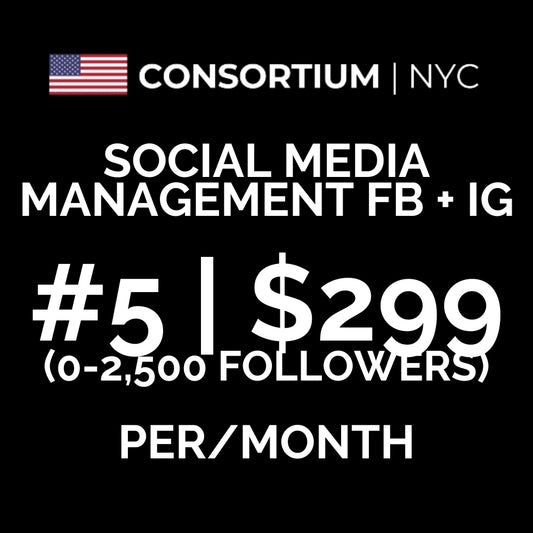 5. Social Media Management FB + IG ($0-2,500 Existing Followers)