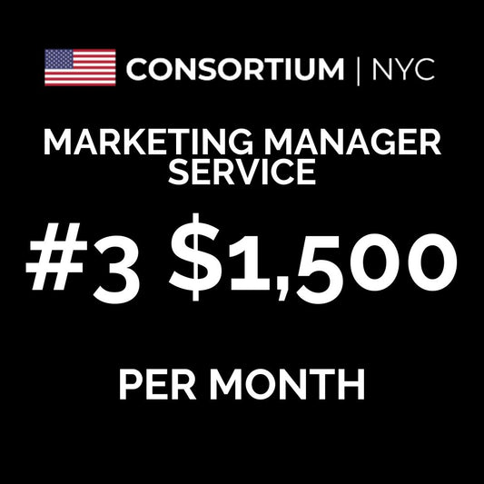 3. Marketing Manager Service | The Small Business ($200-$500k In Annual Revenue)