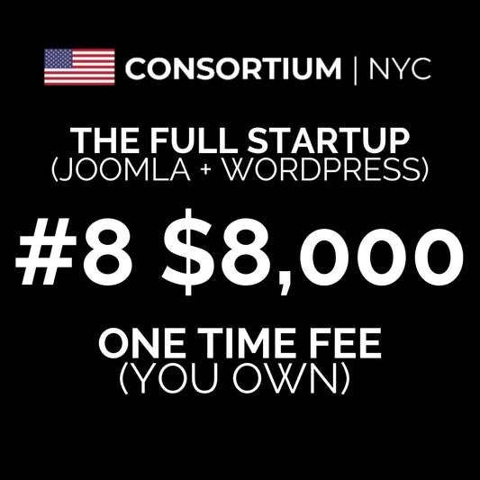 8. The Full Start-Up Package | For Start-Ups + Full Rebrands